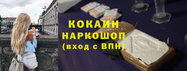 стафф Алексин