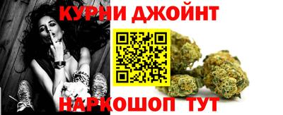 прущие грибы Гусиноозёрск