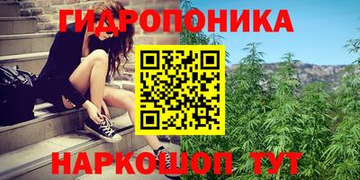 прущие грибы Гусиноозёрск