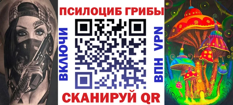 Галлюциногенные грибы Psilocybe  Курчалой 