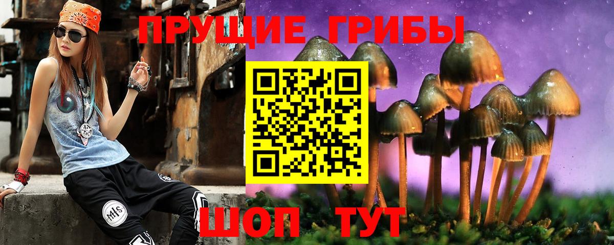 Псилоцибиновые грибы ЛСД Курчалой