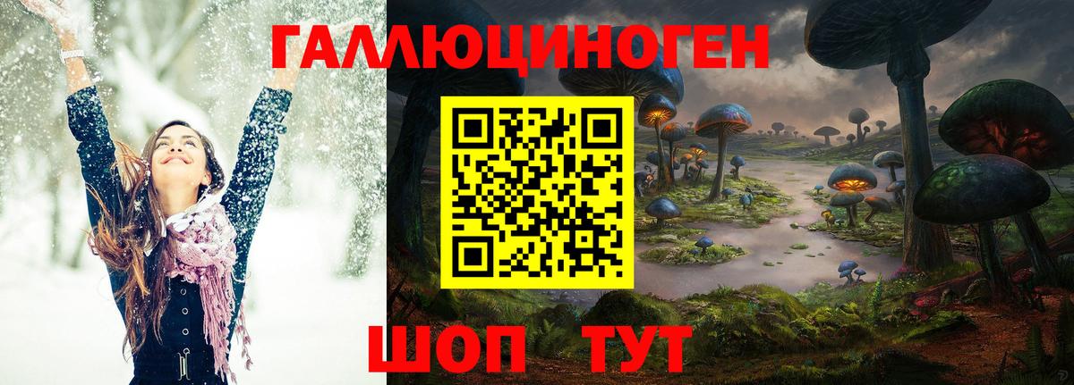 Псилоцибиновые грибы ЛСД  Вход с VPN  Курчалой 